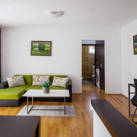 Apartament Family Rivulus 9 Baia Mare Exteriör bild