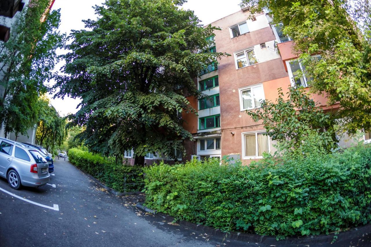 Apartament Family Rivulus 9 Baia Mare Exteriör bild