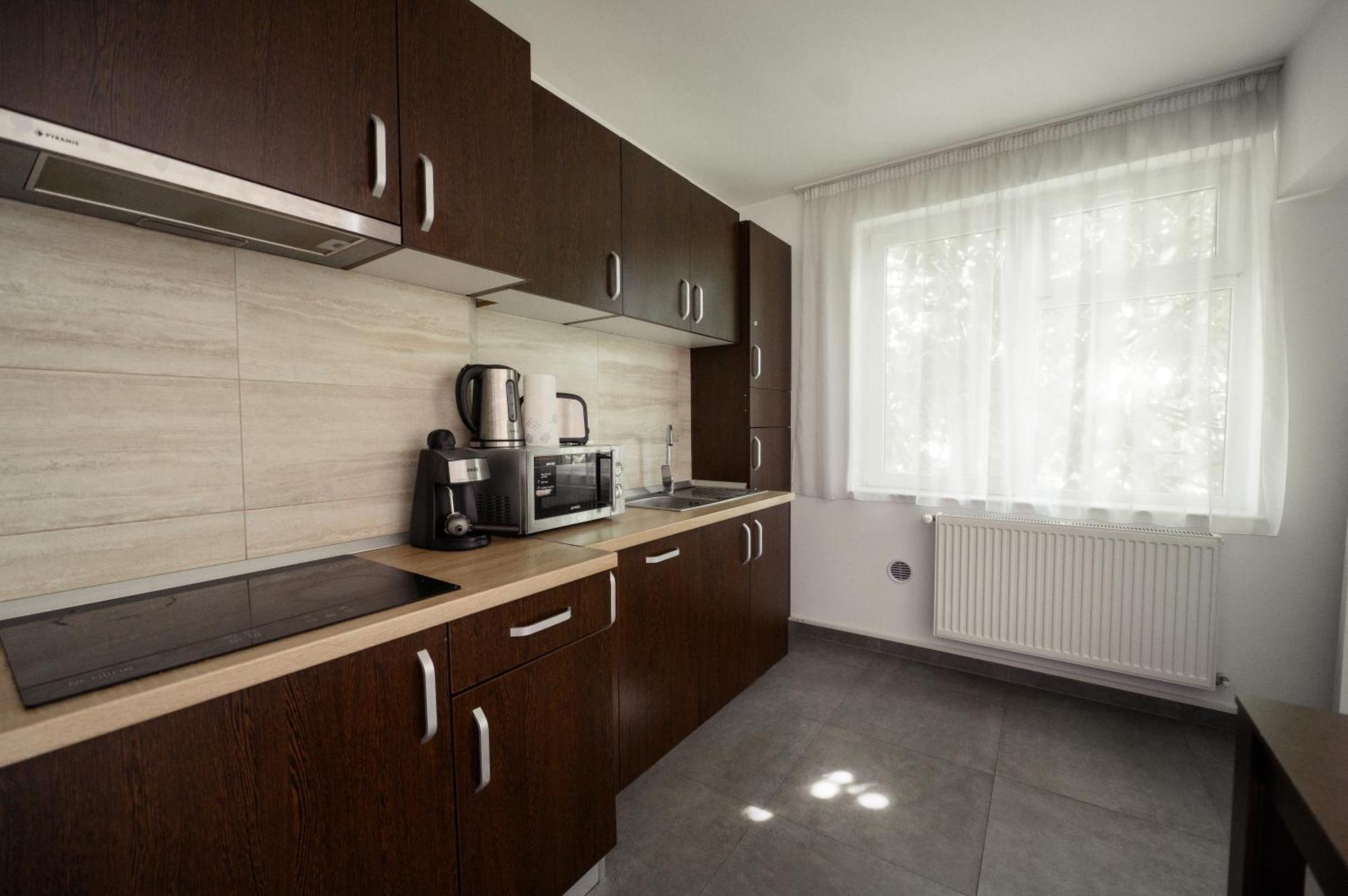 Apartament Family Rivulus 9 Baia Mare Exteriör bild