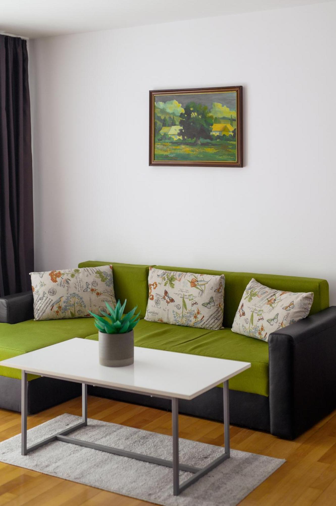 Apartament Family Rivulus 9 Baia Mare Exteriör bild
